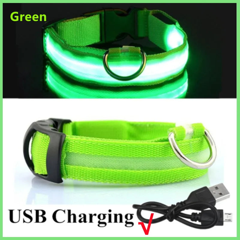 USB Rechargeable Luminous Adjustable Collar for Dogs