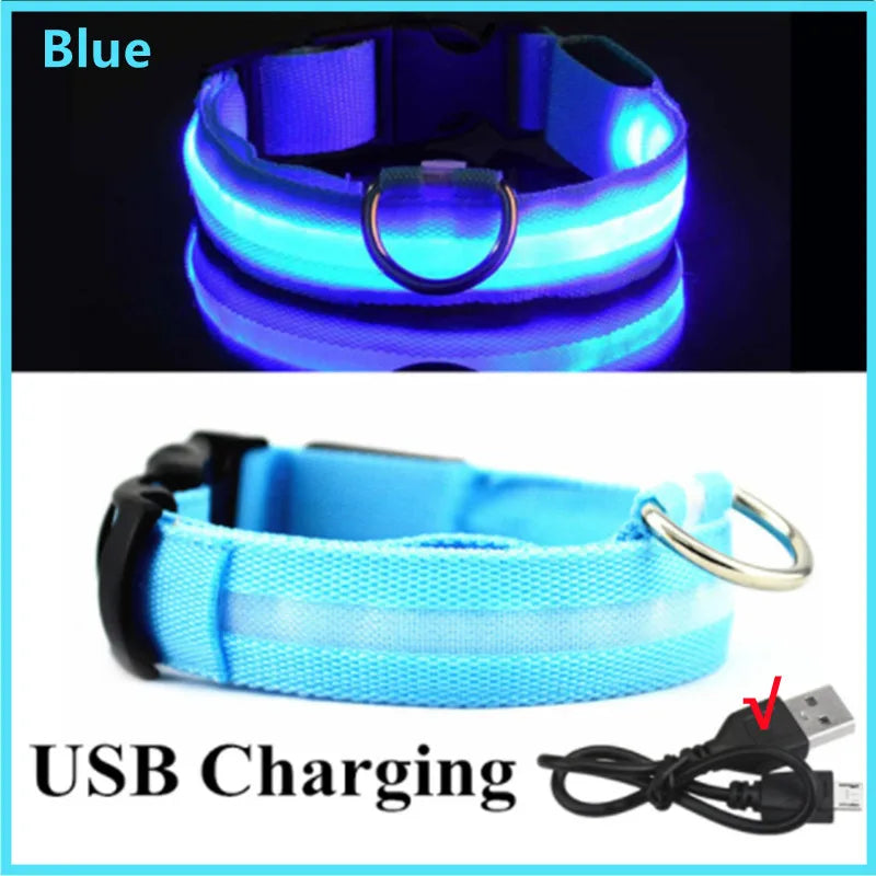 USB Rechargeable Luminous Adjustable Collar for Dogs
