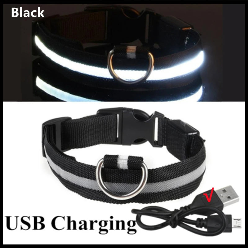 USB Rechargeable Luminous Adjustable Collar for Dogs