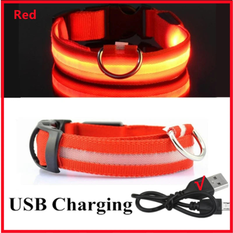 USB Rechargeable Luminous Adjustable Collar for Dogs