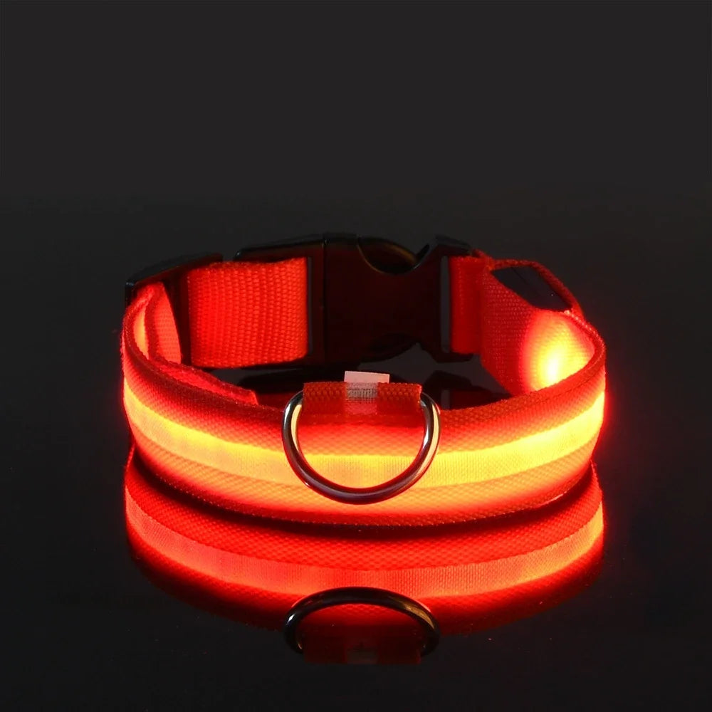 Nylon LED Dog Collar - Night Safety Flashing Glow In The Dark - Luminous Fluorescent