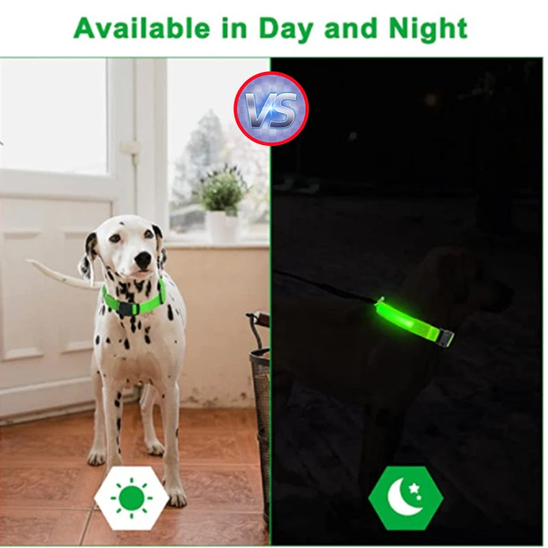 USB Rechargeable Luminous Adjustable Collar for Dogs