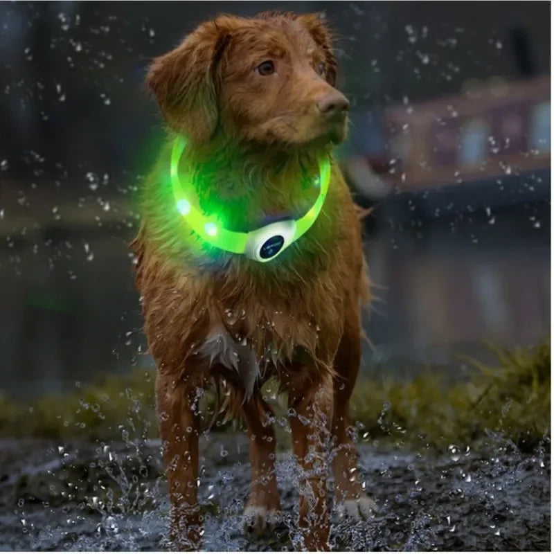 Led Luminous Dog Collar PVC Waterproof, for Large Medium or Small Dogs.  Keep your pet visible!