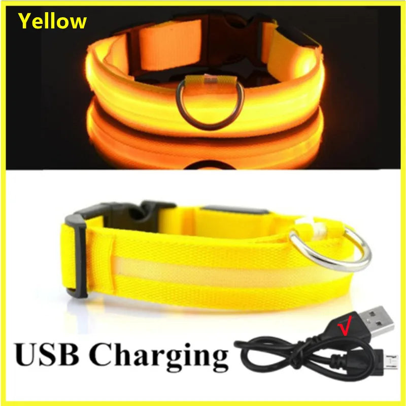 USB Rechargeable Luminous Adjustable Collar for Dogs
