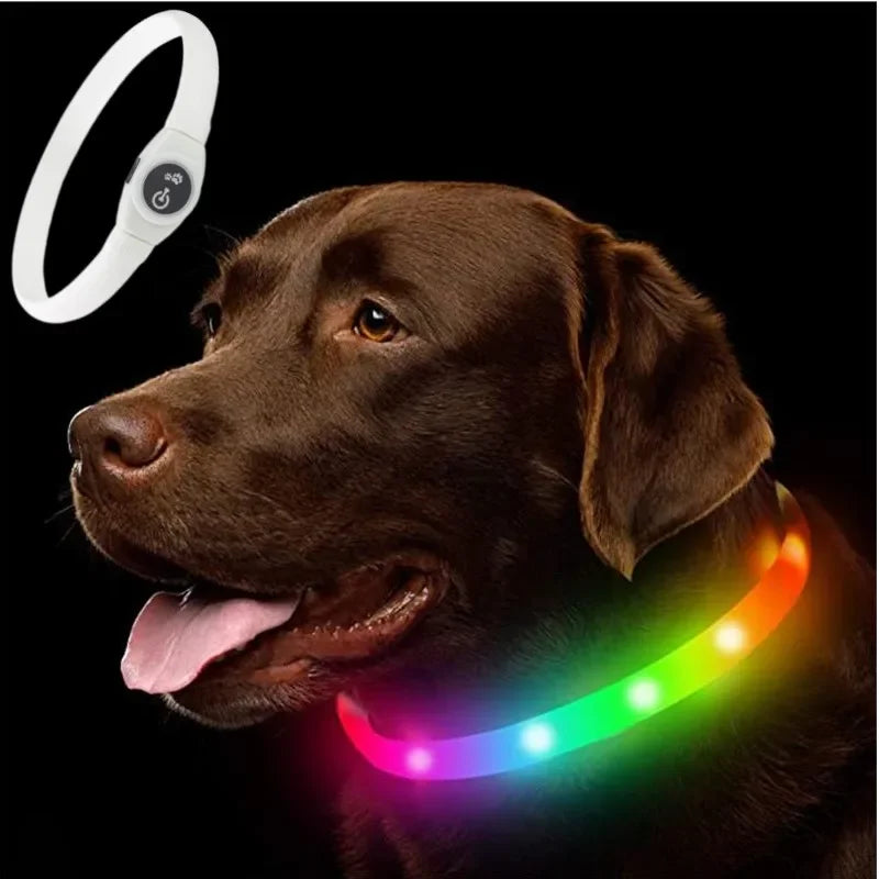 Led Luminous Dog Collar PVC Waterproof, for Large Medium or Small Dogs.  Keep your pet visible!