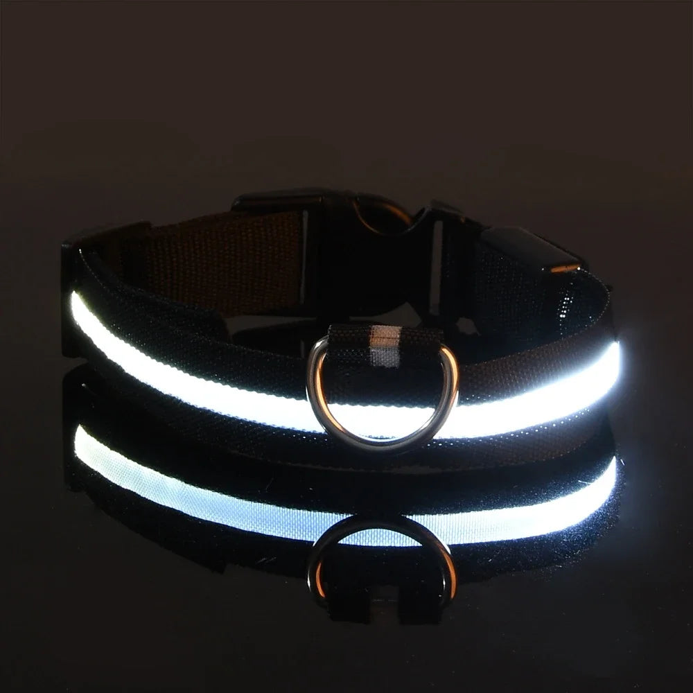 Nylon LED Dog Collar - Night Safety Flashing Glow In The Dark - Luminous Fluorescent