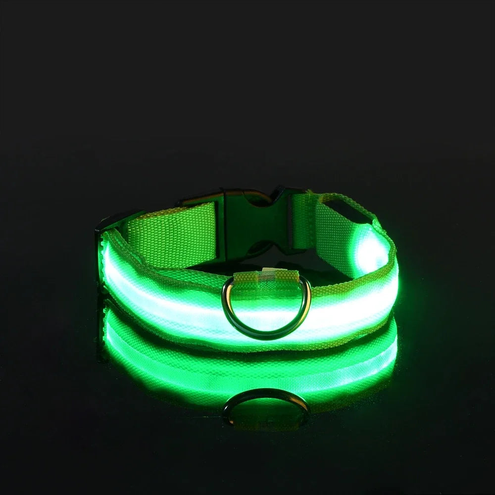 Nylon LED Dog Collar - Night Safety Flashing Glow In The Dark - Luminous Fluorescent
