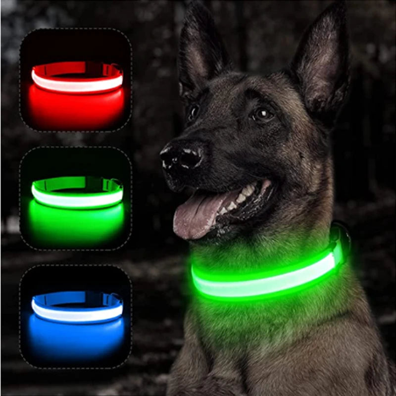 USB Rechargeable Luminous Adjustable Collar for Dogs