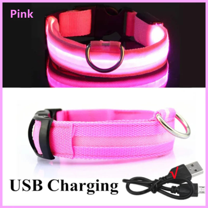 USB Rechargeable Luminous Adjustable Collar for Dogs