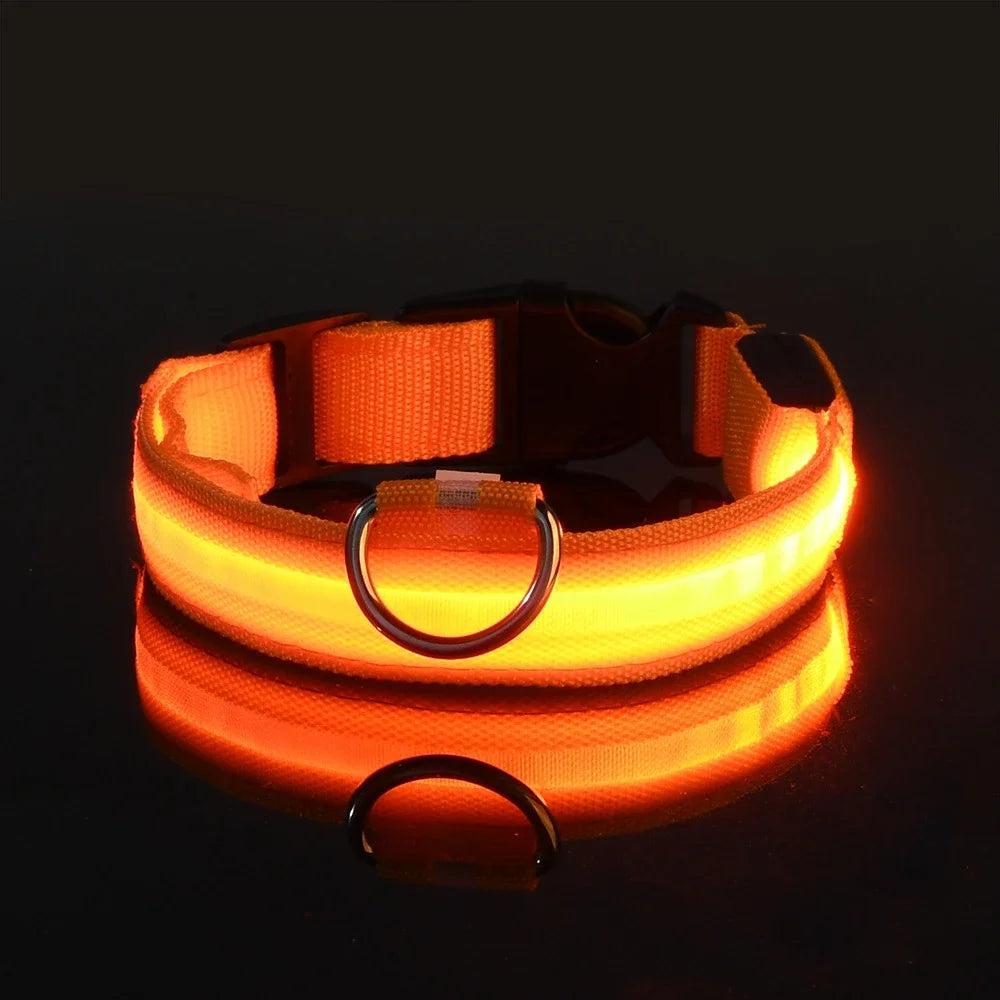Nylon LED Dog Collar - Night Safety Flashing Glow In The Dark - Luminous Fluorescent