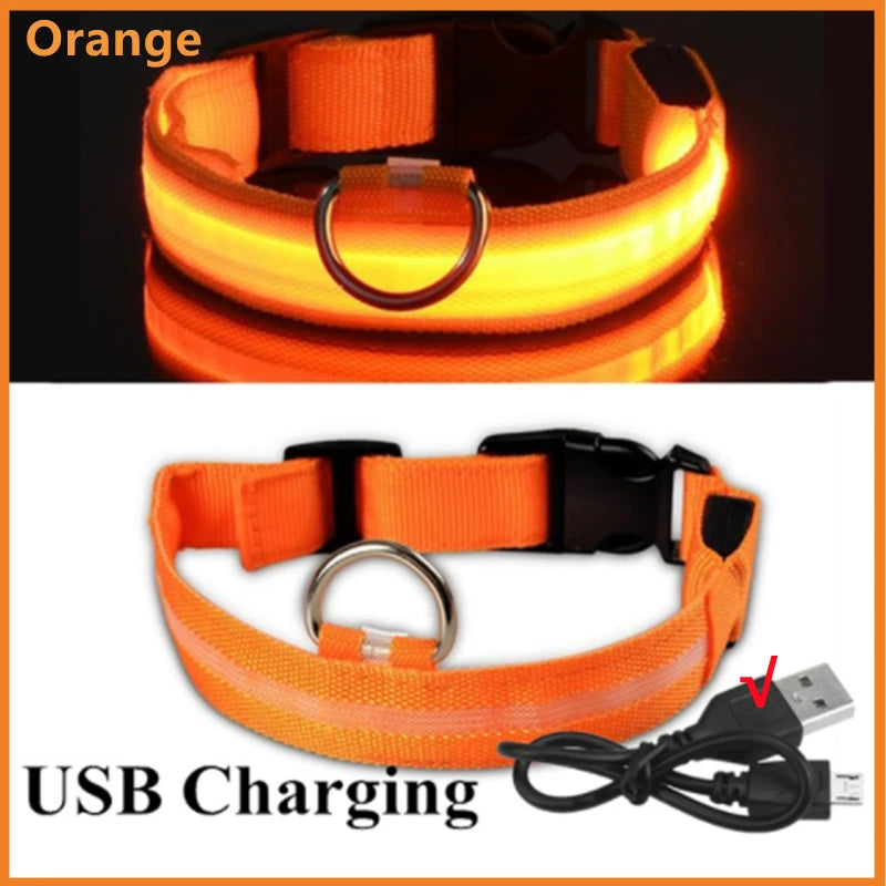 USB Rechargeable Luminous Adjustable Collar for Dogs