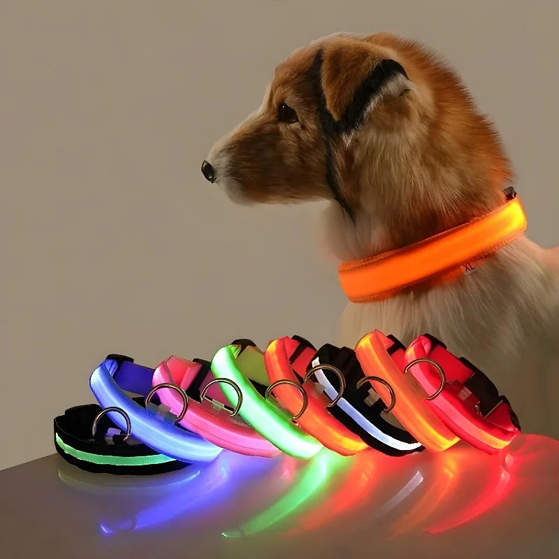 Nylon LED Dog Collar - Night Safety Flashing Glow In The Dark - Luminous Fluorescent