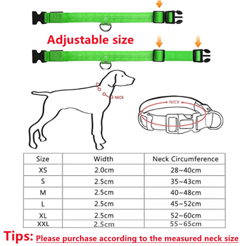 USB Rechargeable Luminous Adjustable Collar for Dogs