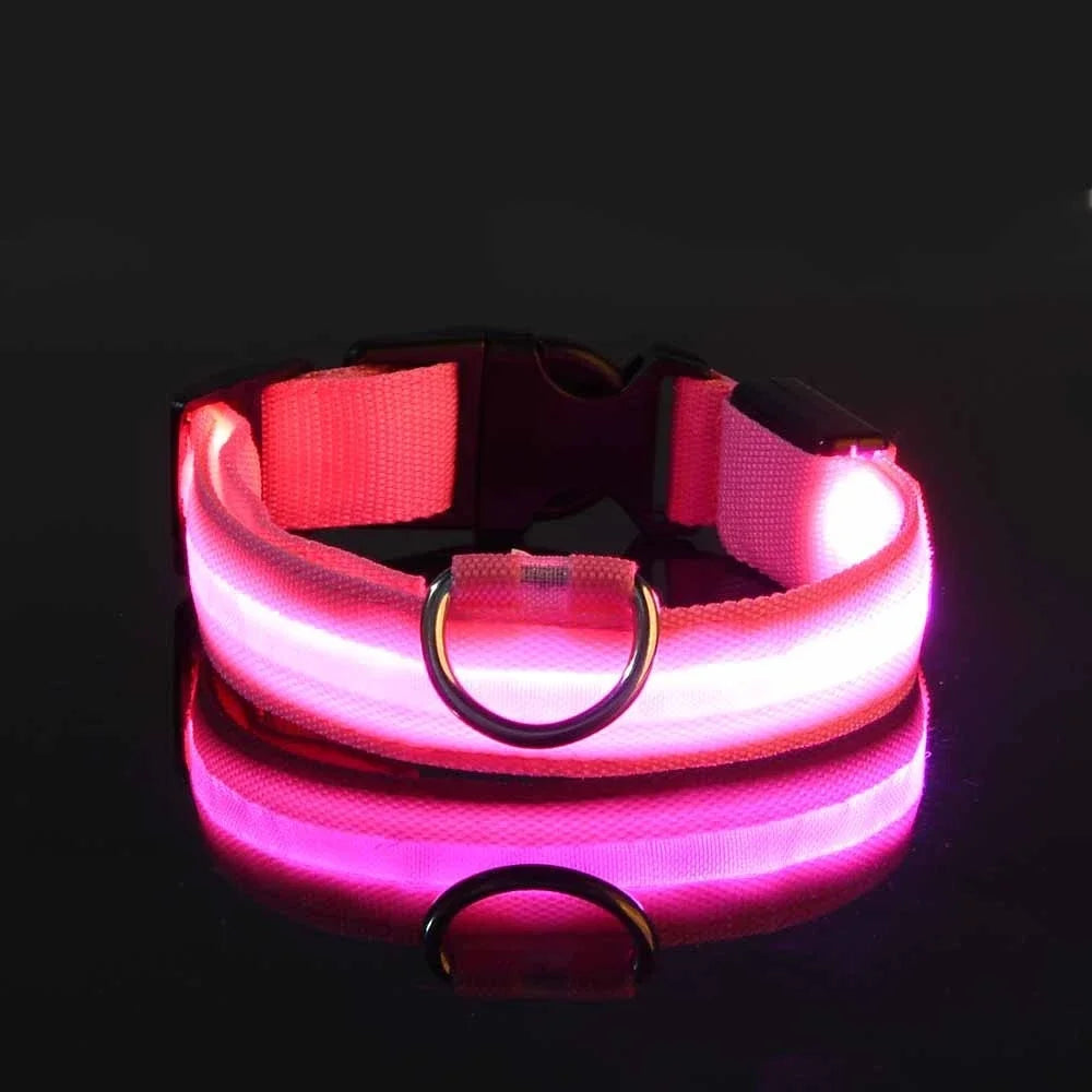Nylon LED Dog Collar - Night Safety Flashing Glow In The Dark - Luminous Fluorescent