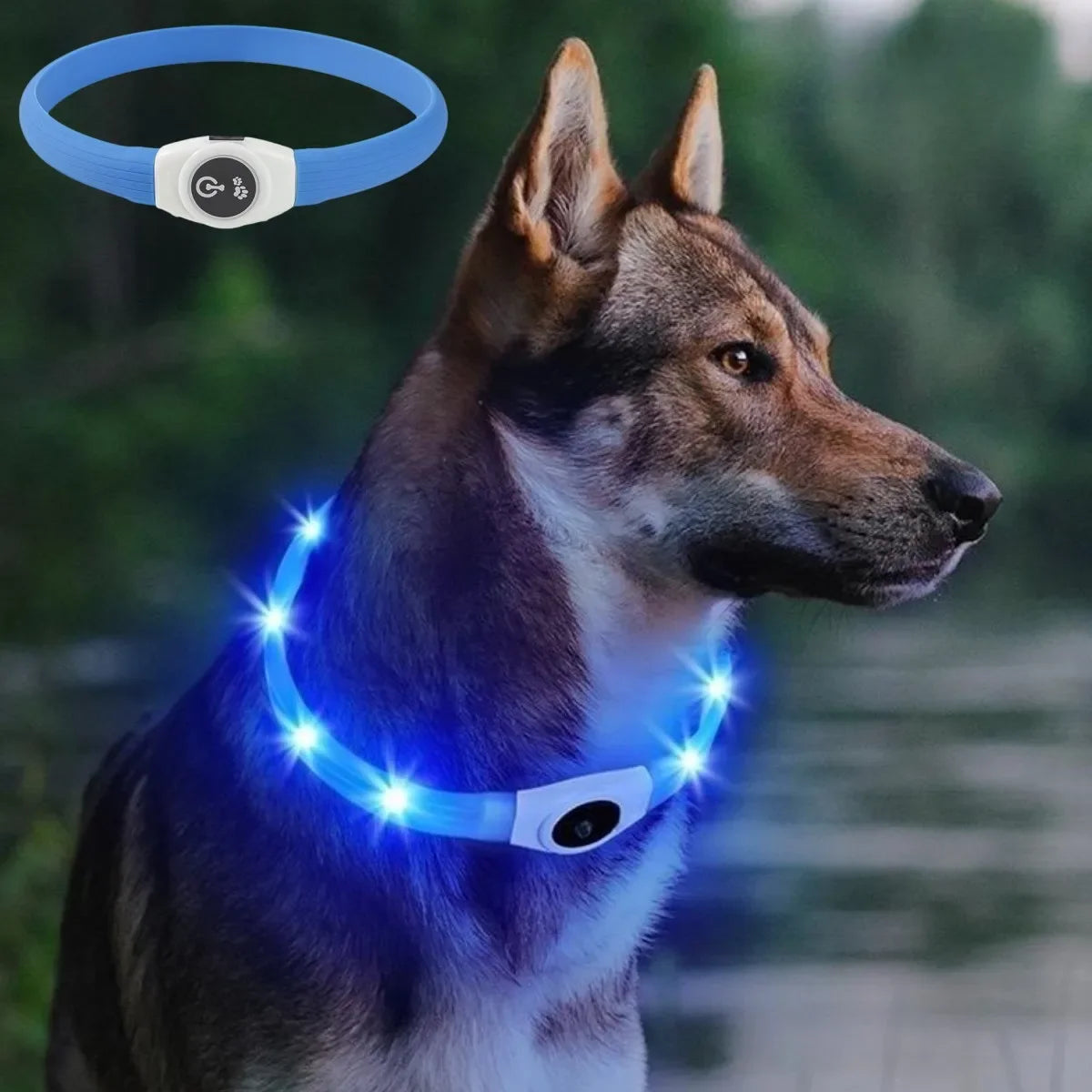 Led Luminous Dog Collar PVC Waterproof, for Large Medium or Small Dogs.  Keep your pet visible!