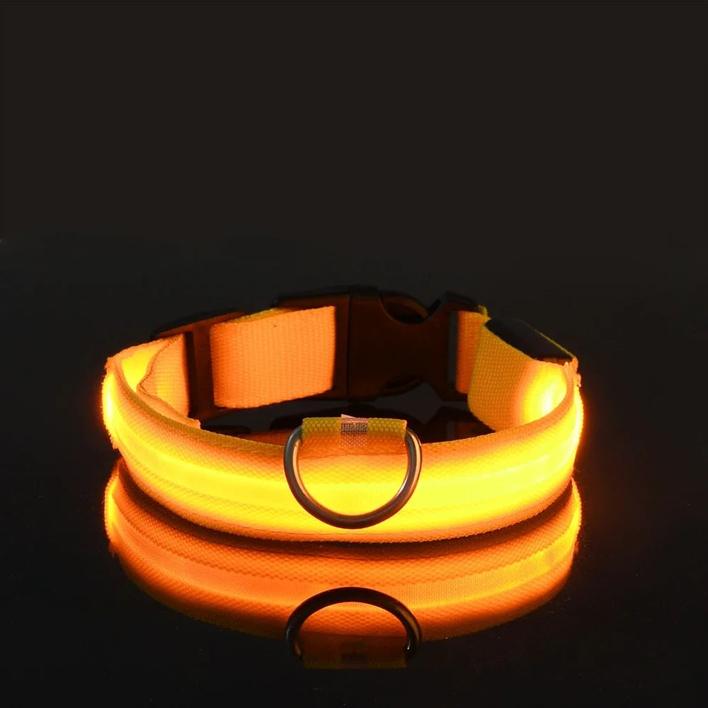 Nylon LED Dog Collar - Night Safety Flashing Glow In The Dark - Luminous Fluorescent